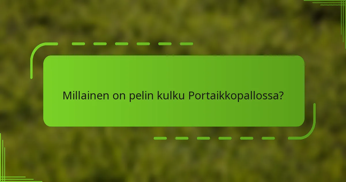 Millainen on pelin kulku Portaikkopallossa?