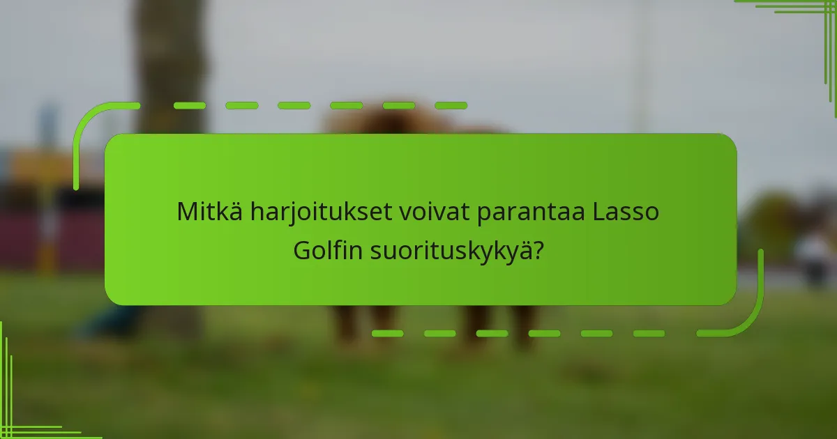 Mitkä harjoitukset voivat parantaa Lasso Golfin suorituskykyä?