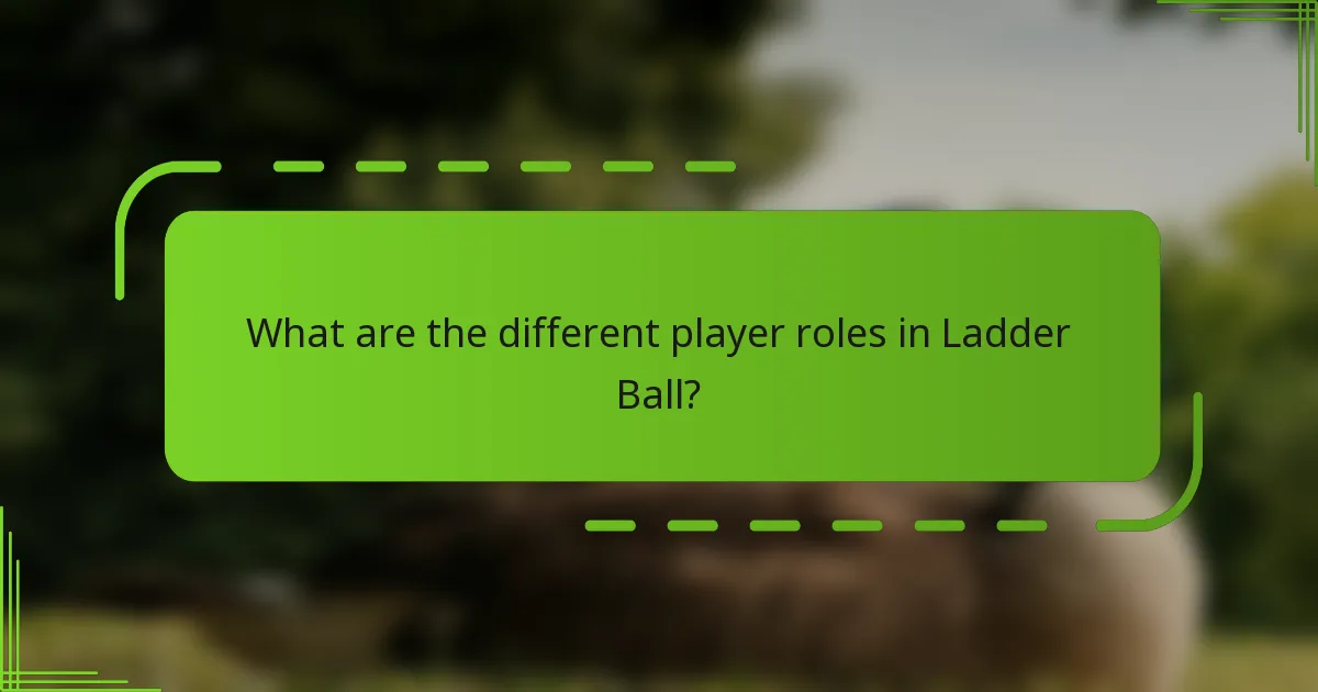 What are the different player roles in Ladder Ball?